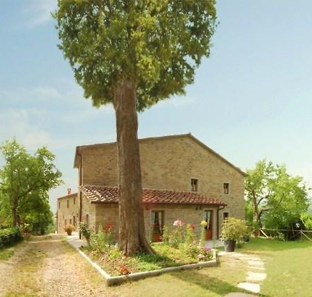 Willa Agriturismo Il Piano Pratovecchio Zewnętrze zdjęcie